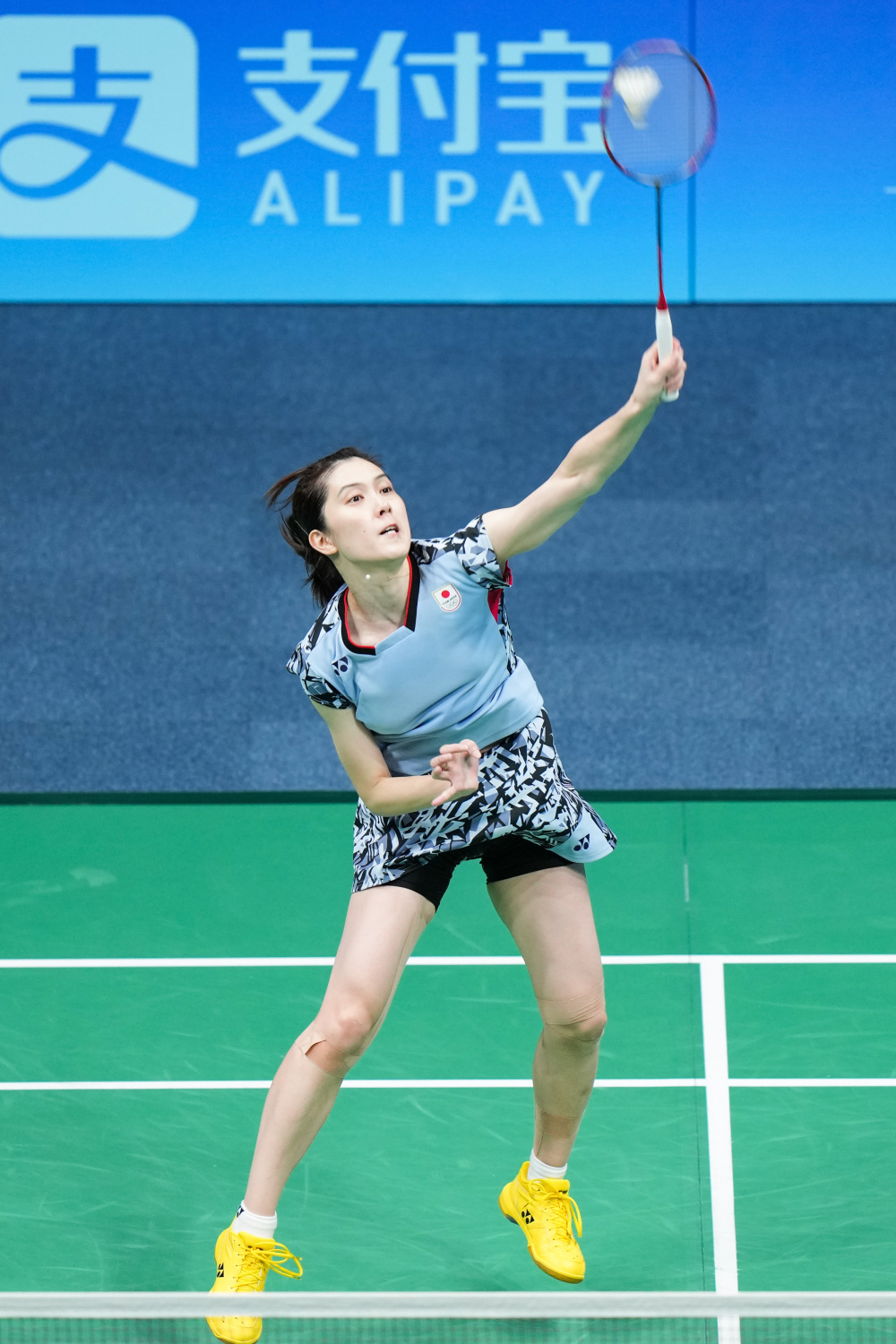 注和态度 注和态度